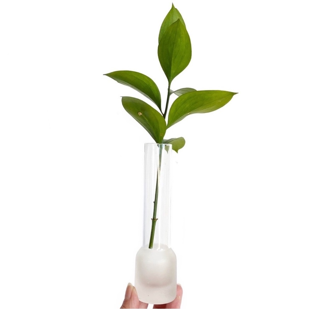 Small Clear Glass Tube Plant Propagation Vase Chunky Base Frosted Glass Bud Vase - Picture 2 of 10